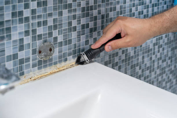 Best Mold Testing  in Progreso, TX